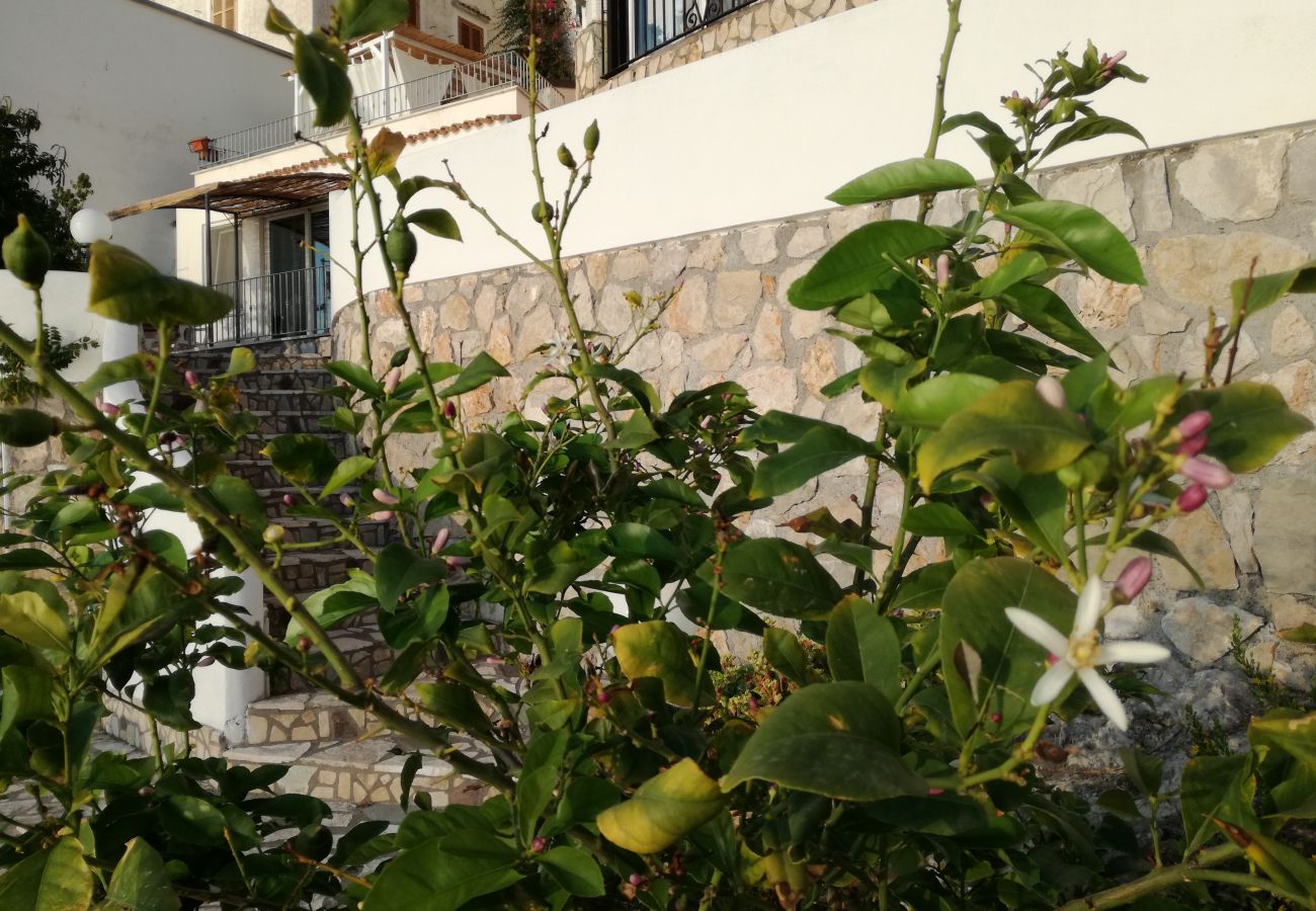 Studio in Sperlonga - Casa Omero Sperlongaresort Studio in Sperlonga - Casa Omero Sperlongaresort
