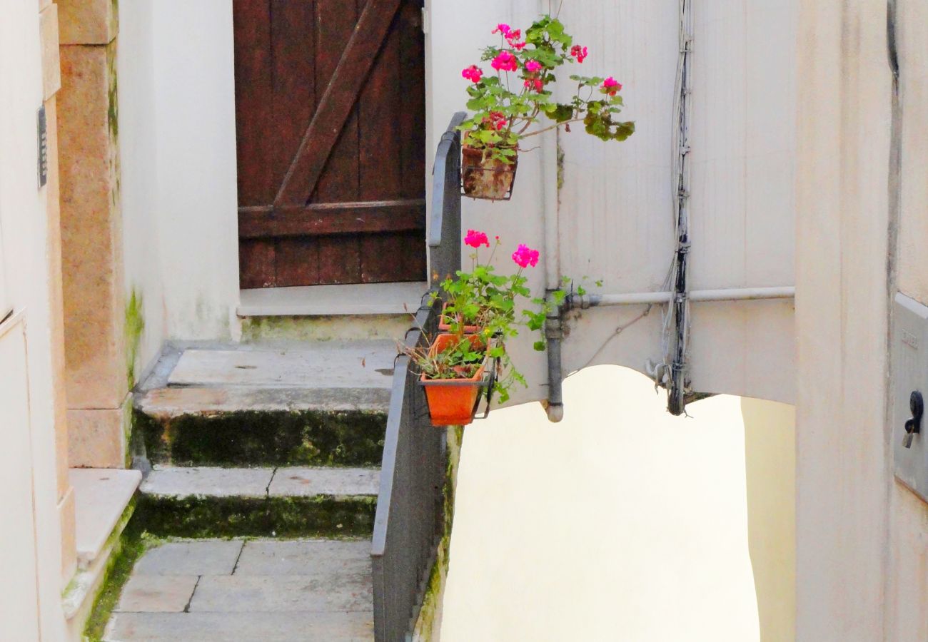 Apartment in Sperlonga - Casa Ulisse Sperlongaresort