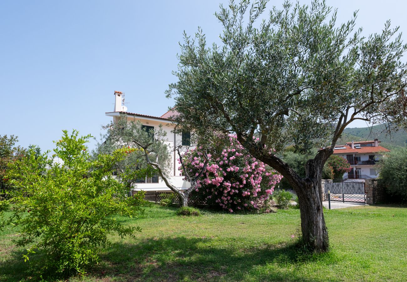Villa in Sperlonga - Villa Minerva Sperlongaresort